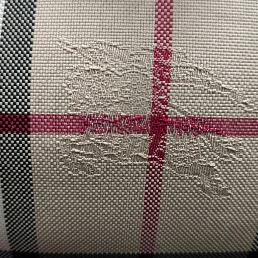 WhatsApp Image 2026-01-10 at 11.01.49