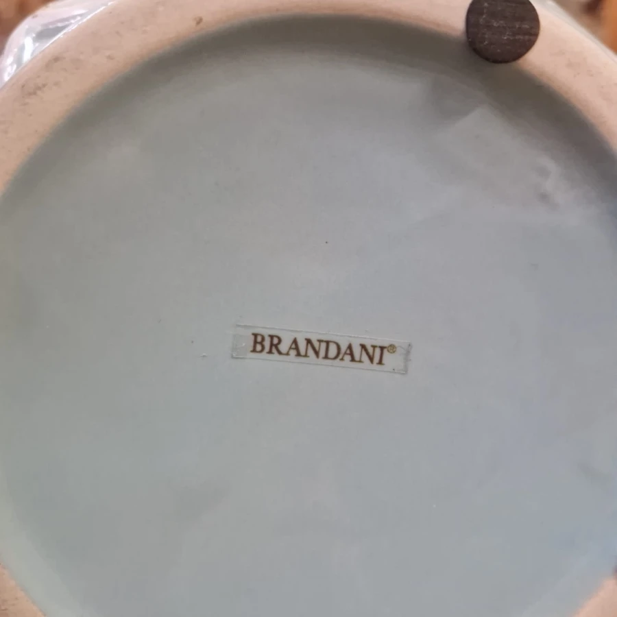 WhatsApp Image 2026-01-14 at 11.07.57