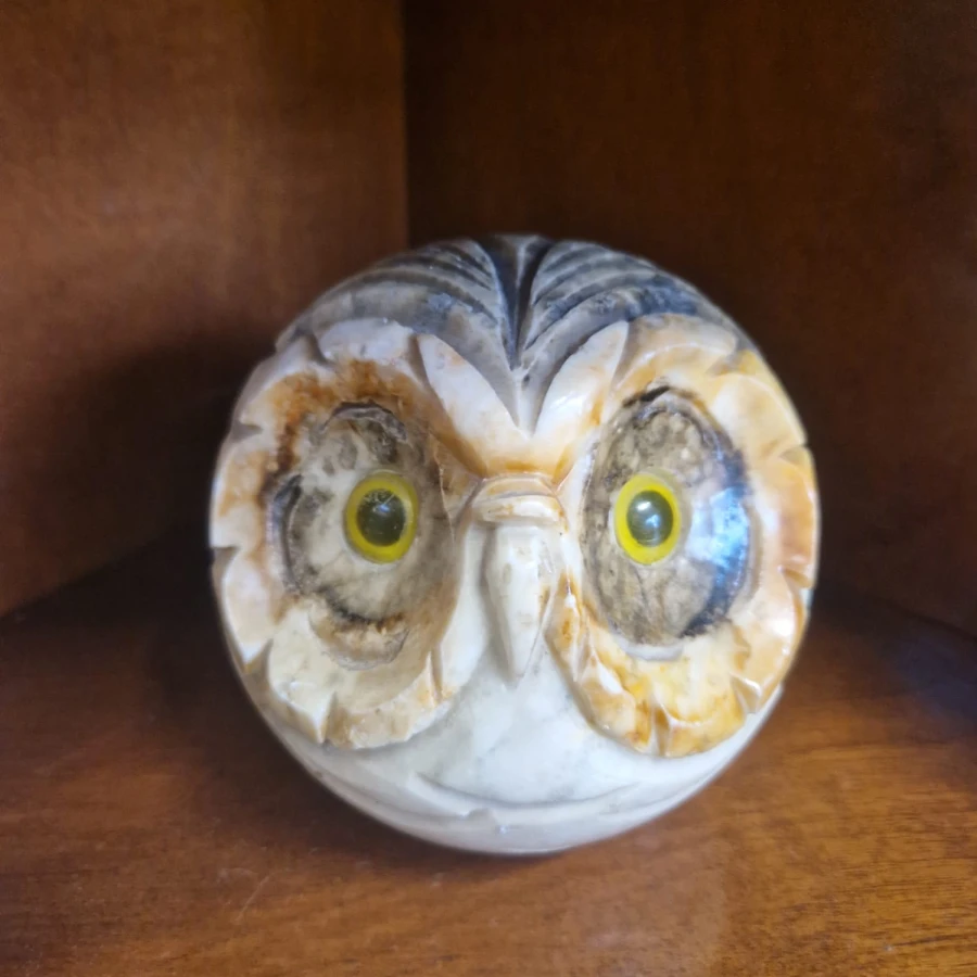 WhatsApp Image 2026-01-14 at 11.17.13