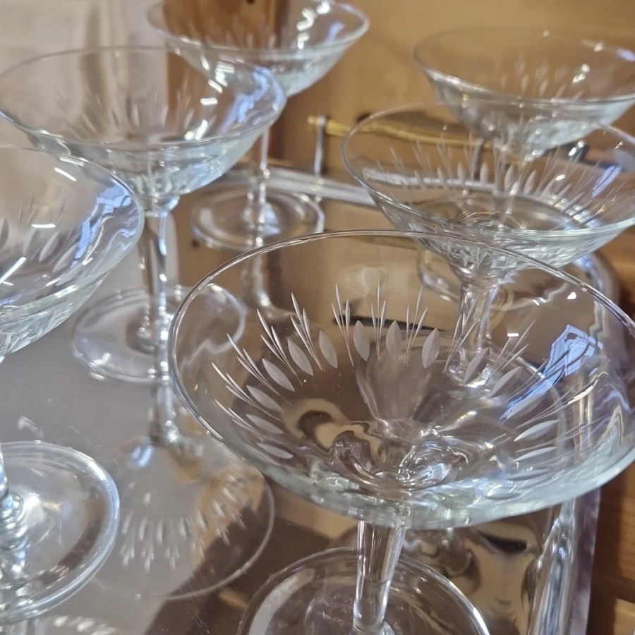 WhatsApp Image 2026-01-14 at 11.19.54