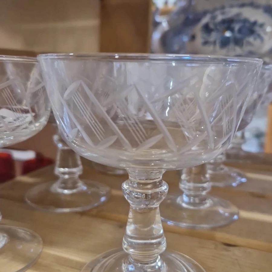 WhatsApp Image 2026-01-14 at 11.23.49