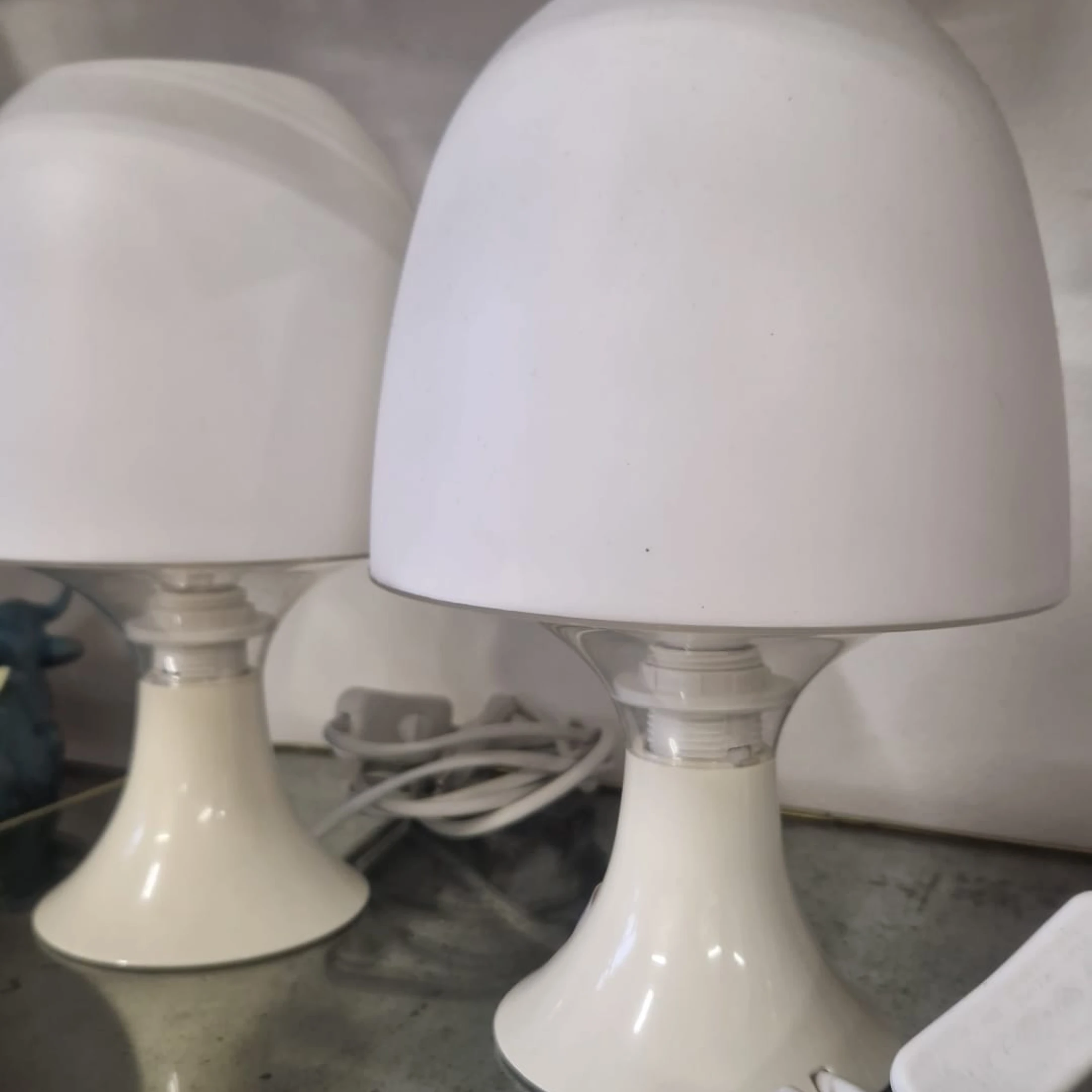 WhatsApp Image 2026-01-14 at 11.26.24