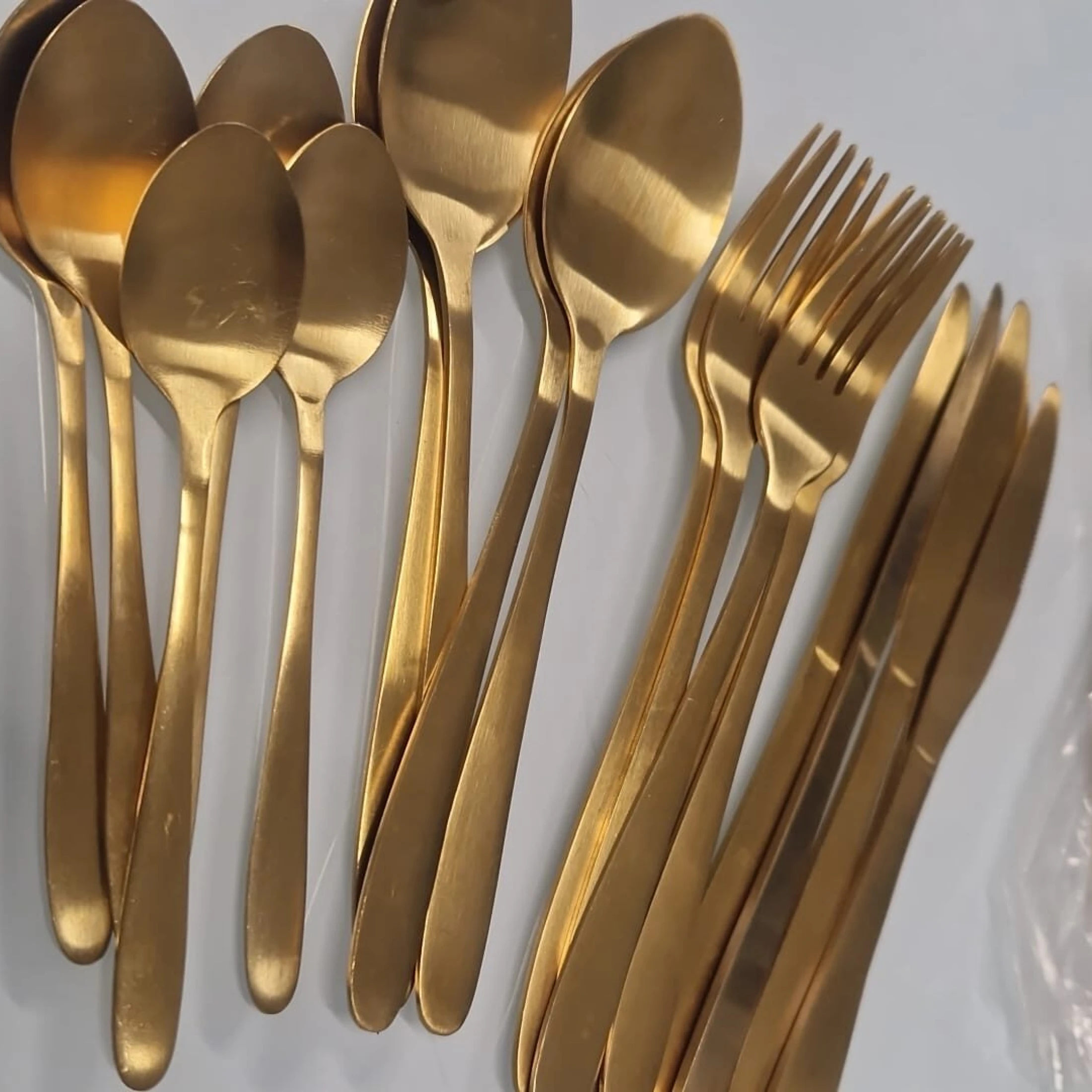 WhatsApp Image 2026-01-14 at 11.58.12