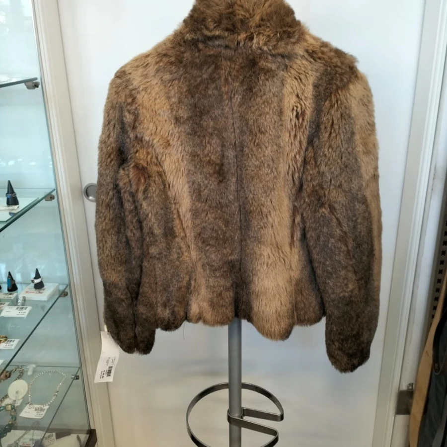 WhatsApp Image 2026-02-11 at 17.01.22 (3)