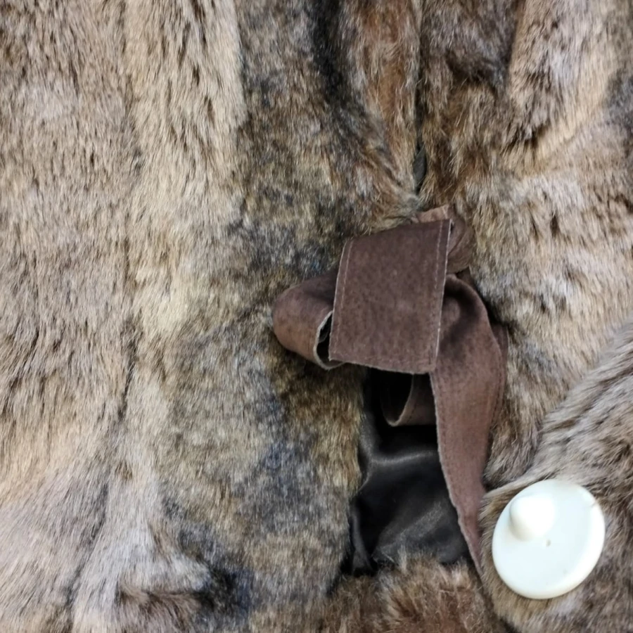 WhatsApp Image 2026-02-11 at 17.01.22