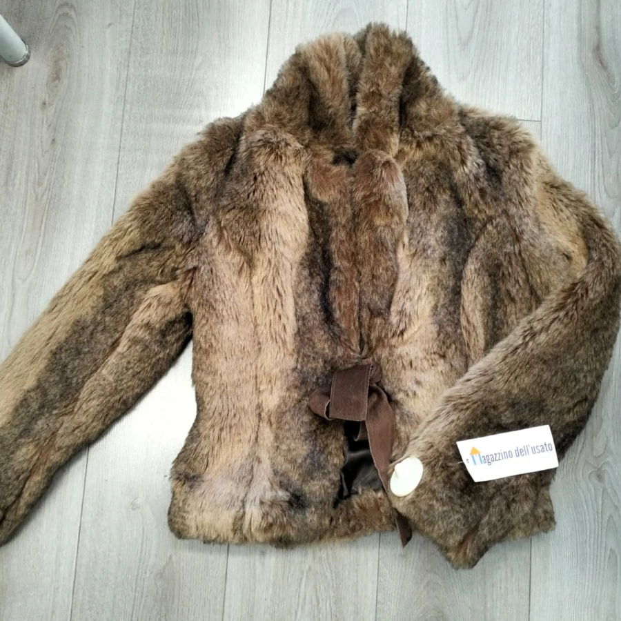 WhatsApp Image 2026-02-11 at 17.01.22 (1)