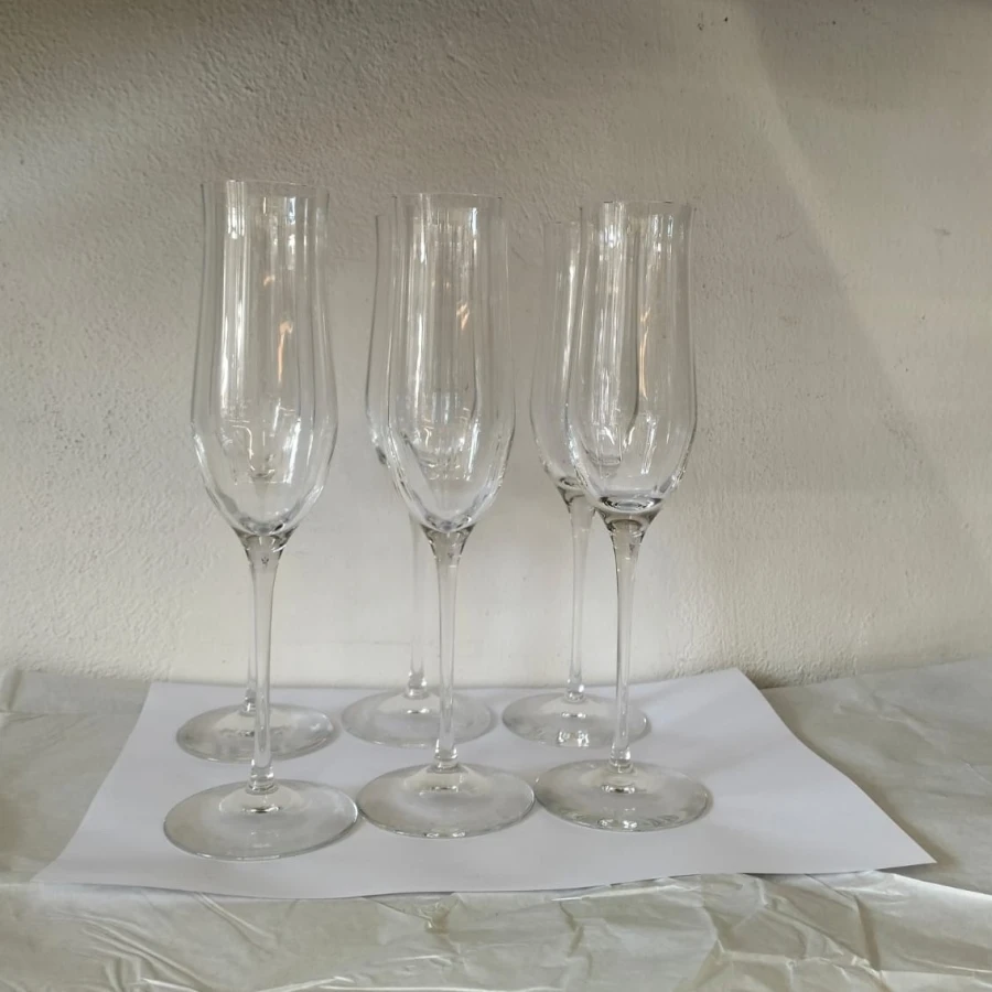 WhatsApp Image 2026-02-13 at 18.05.48 (3)