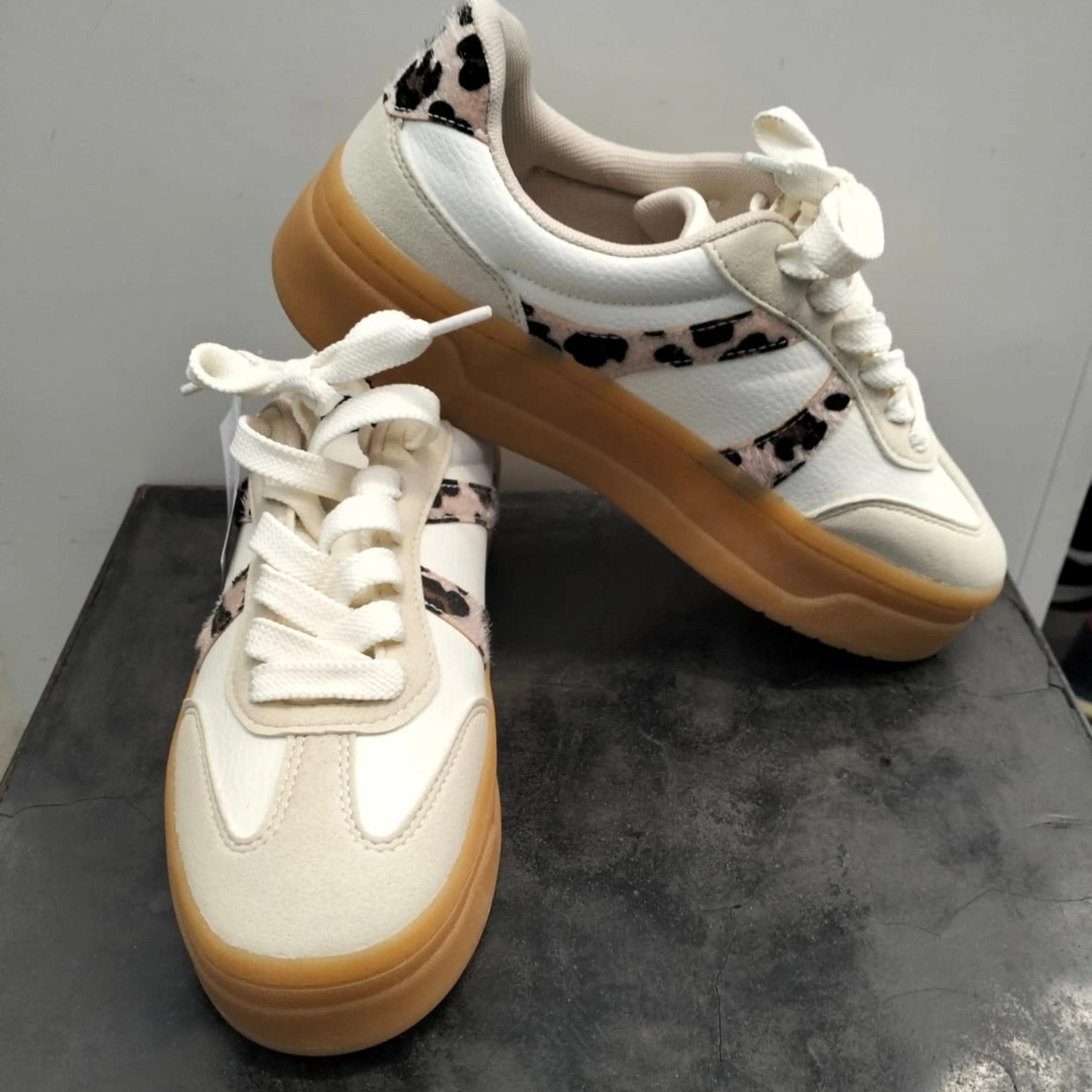 WhatsApp Image 2026-02-17 at 17.34.07 (3)