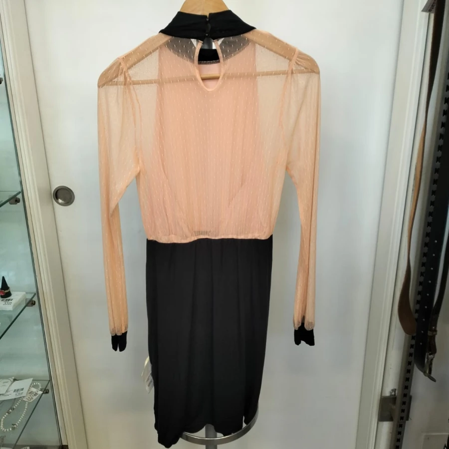 WhatsApp Image 2026-03-20 at 18.11.55 (1)