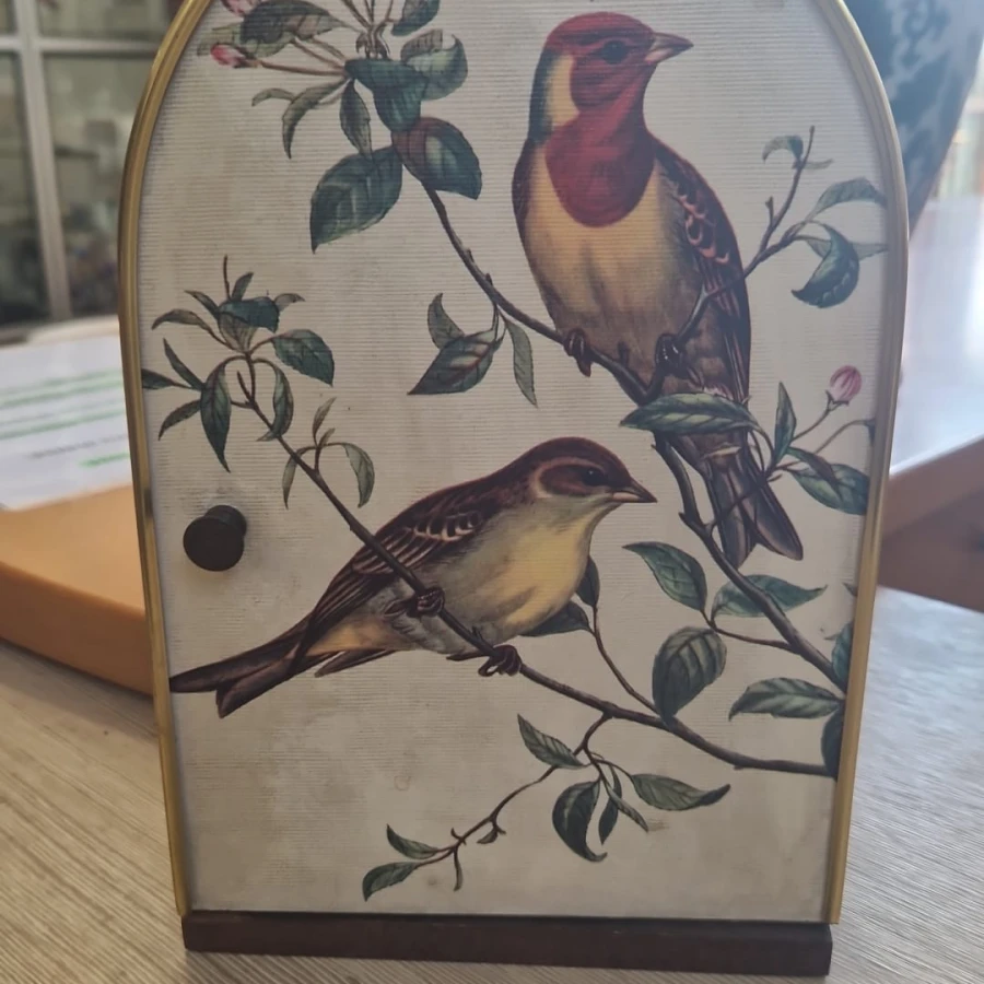 WhatsApp Image 2026-03-28 at 12.22.31